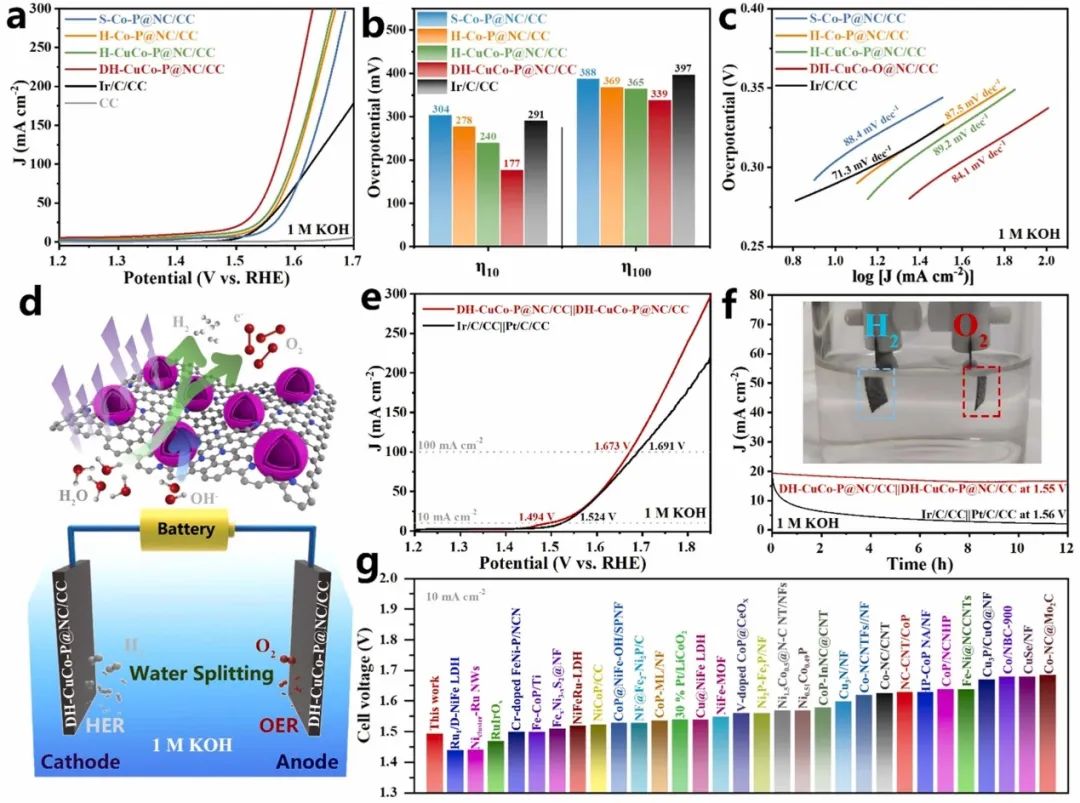 催化顶刊集锦：AFM、ACS Catalysis、Appl. Catal. B.、CEJ、Small、JMCA等成果