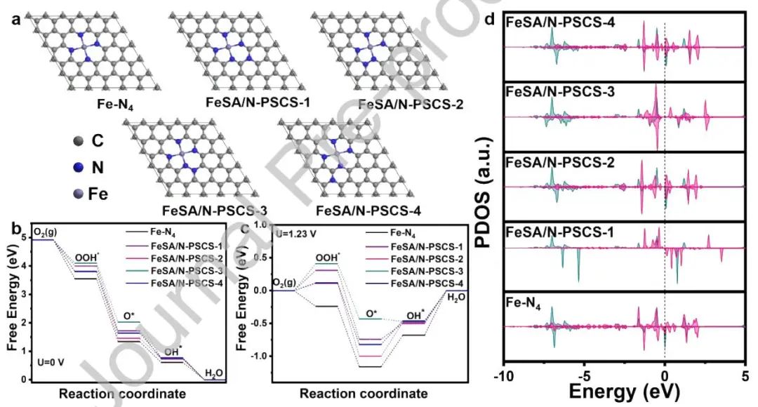 段超/李季/沈梦霞EnSM：FeSA/N-PSCS助力ORR和Zn-空气电池