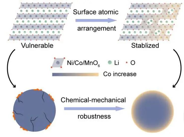 郭玉国Angew.：基于表面原子排列控制的单晶高镍正极化学-机械耦合稳定性研究