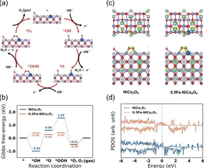 8篇催化顶刊：JACS、ML、JMCA、Small Methods、Small、Appl. Catal. B.等成果