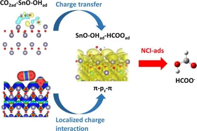 中科大穆杨/王功名ACS Catal.: 表面非共价相互作用调节CO2的电化学质子化行为