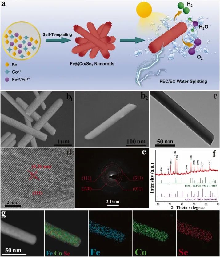 8篇催化顶刊：Angew.、AFM、Small、Chem. Eng. J.、ACS Catal.等最新成果