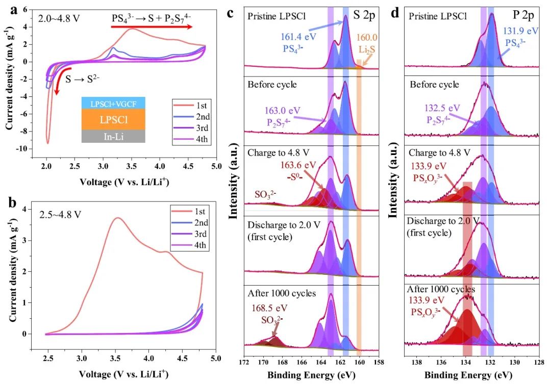 潘洪革/高明霞​ACS Energy Letters：853Wh/kg高比能1000次循环长寿命实用全固态电池！