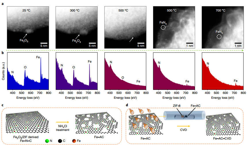 Nature Energy：​ 高度稳定的原子级Fe-N-C催化剂用于燃料电池