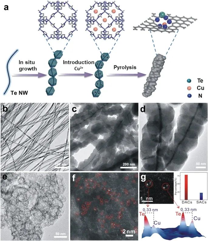 双原子电催化，最新Nature子刊！