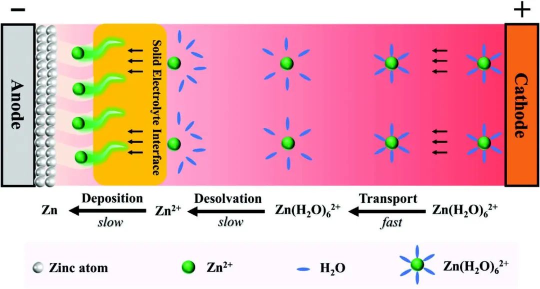 何会兵&黄燕平Adv. Sci.：构筑固体锌离子导体界面实现耐用和快充锌金属电池