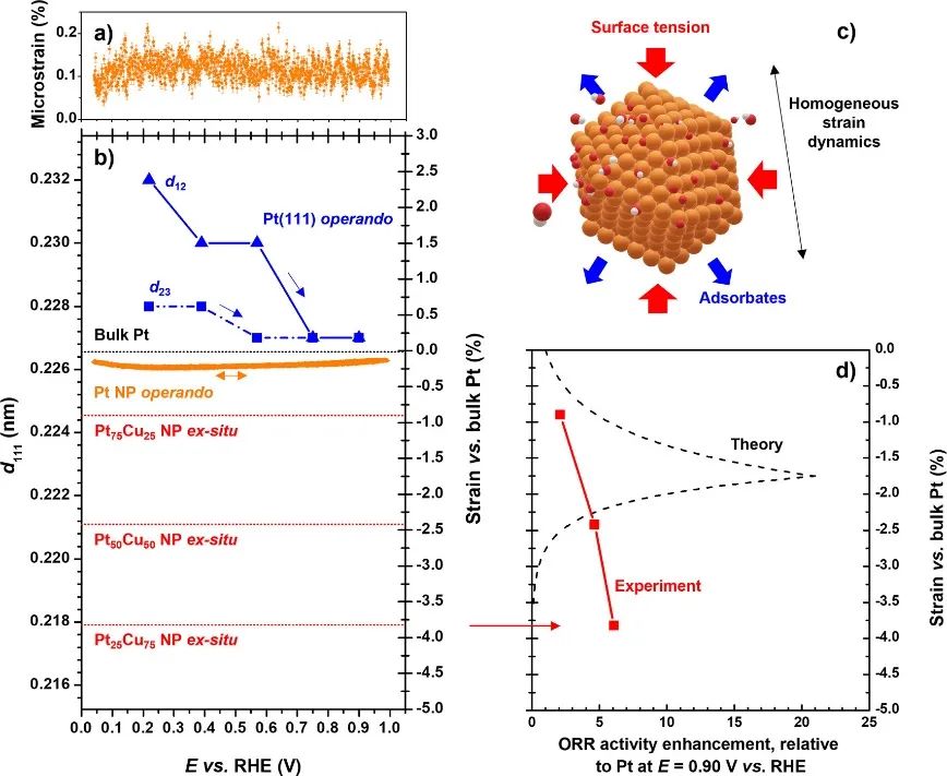 JACS：贵金属纳米催化剂的电化学应变动力学