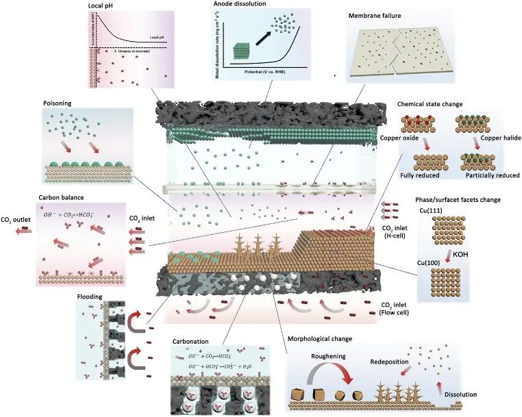 AM综述：催化剂动态变化及反应环境对电化学CO2还原性能的影响