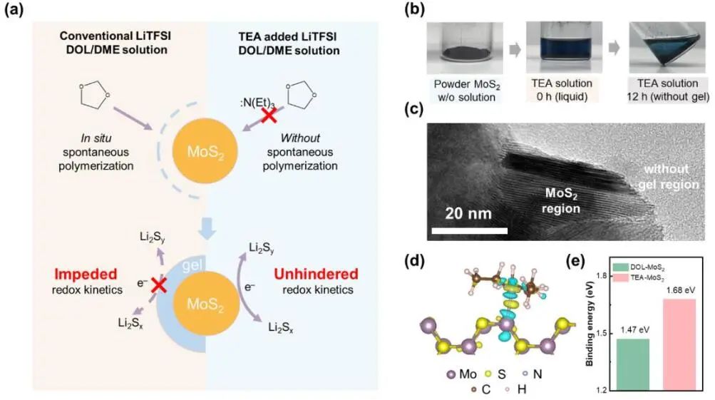 张强团队一天两篇顶刊，连发JACS、Angew.！