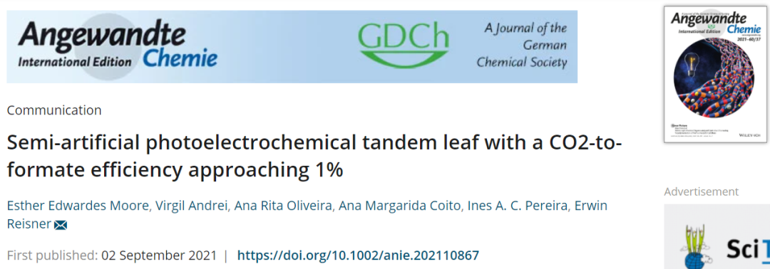 剑桥大学Angew.：新纪录！半人工光电化学串联叶片实现CO2转化为甲酸盐的效率接近1%