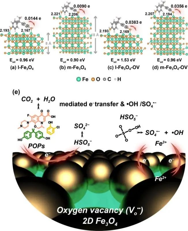 华北电力陈哲ACS Catalysis: 用于过硫酸盐活化的富氧空位超薄二维Fe3O4纳米片的受限层间生长