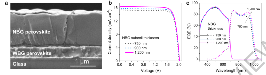 神仙打架！他，回国三年，三鼓作气，战胜韩国科学家！1篇Nature+2篇Nature Energy！