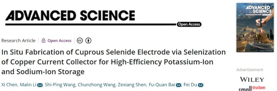 吉大Adv. Sci.：原位硒化制备硒化亚铜电极实现高效钾/钠离子存储