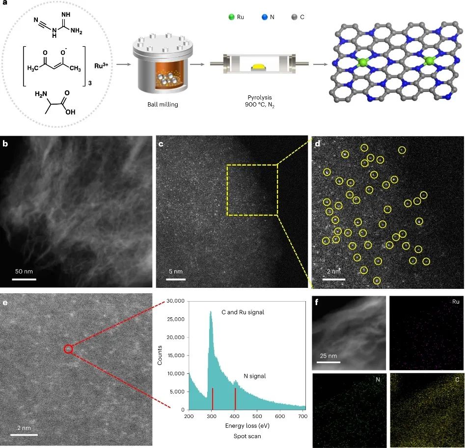 大连化物所&福大，最新Nature Catalysis！