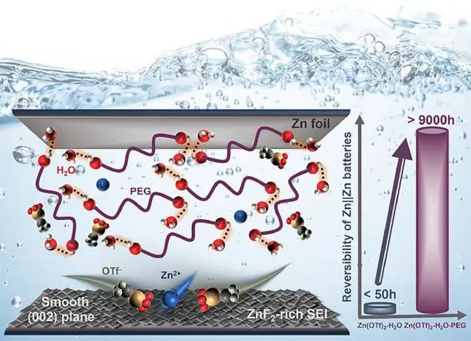港城大李振声EnSM: 实现长寿命水系锌离子电池稳定Zn沉积的电解液工程