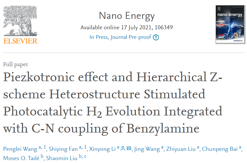 李新勇Nano Energy：BaTiO3@ZnIn2S4异质结构助力光催化析氢与苄胺的C-N偶联