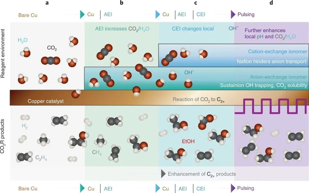 三院院士！Alexis T. Bell团队最新Nature Energy