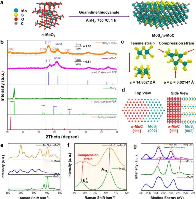 催化日报：AM/AFM/Small/ACS Nano/Chem. Eng. J.等最新催化成果