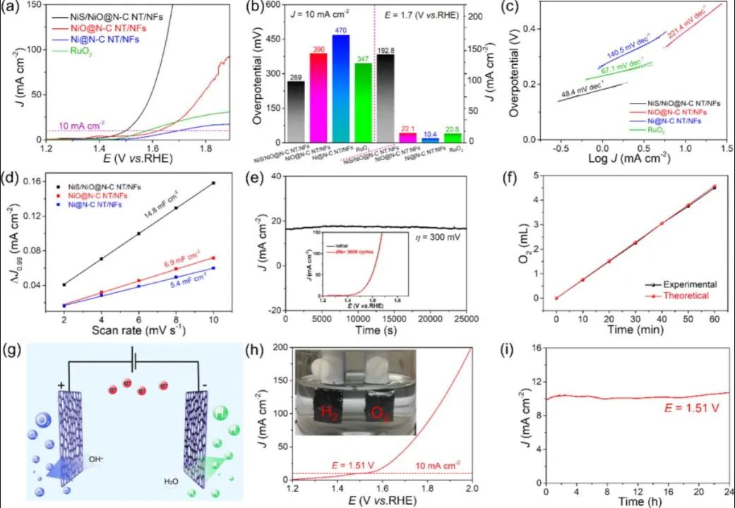 催化日报：AM/AFM/Small/ACS Nano/Chem. Eng. J.等最新催化成果