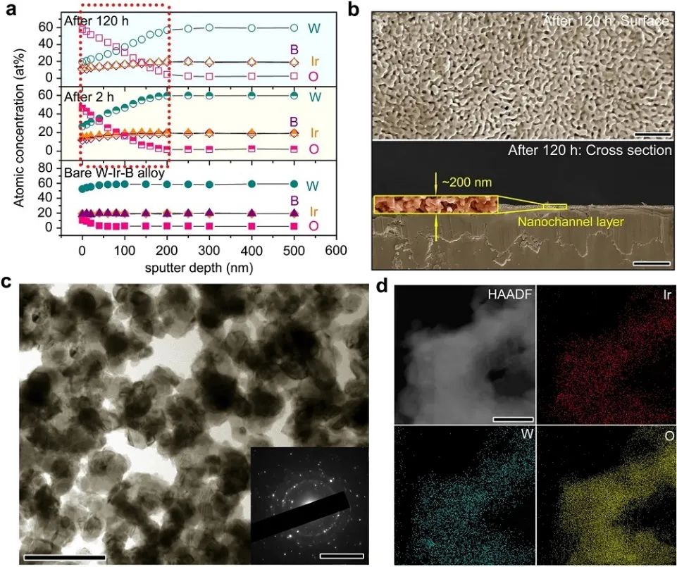 中科大&港理工等Nature子刊：高电流密度、稳定时间800h！IrW基电催化剂助力酸性OER