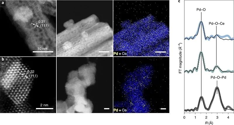 单原子催化领域，再获一篇Nature Catalysis！