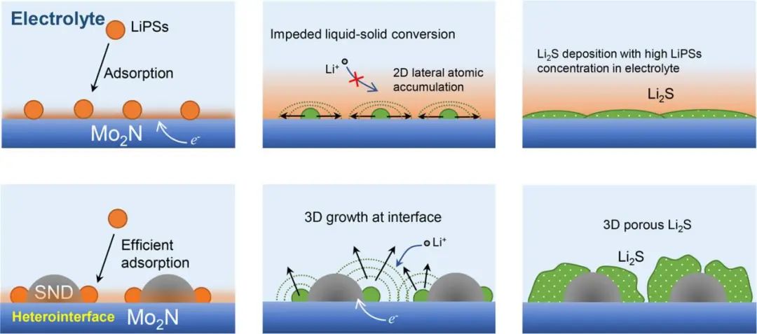 ACS Nano: 丰富异质界面助力高性能锂硫电池的多硫化物快速转化、可控Li2S沉积