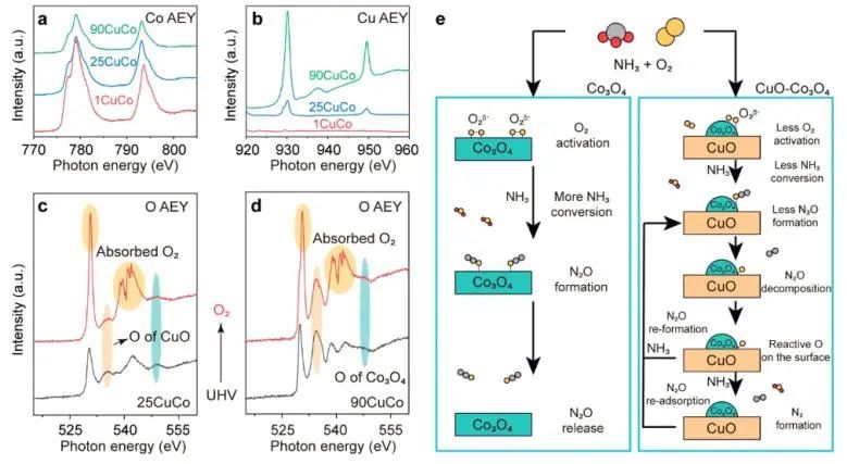 ACS Catalysis：构建Co-Cu双功能催化剂，实现NH3氧化和N2O分解串联反应