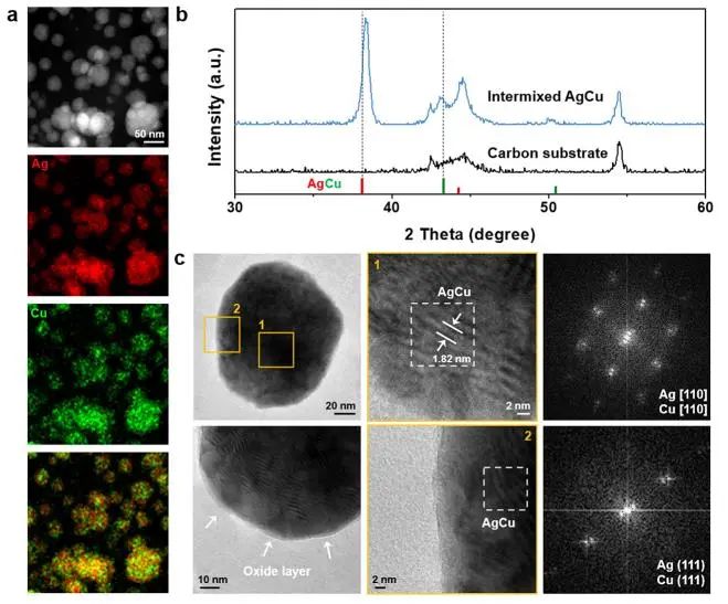 ​催化顶刊集锦：Nature子刊、Angew.、AFM、ACS Nano、Small等成果