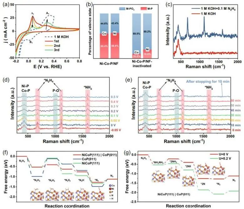 催化顶刊集锦：Nature子刊、Angew.、AEM、ACS Catalysis、Small等成果