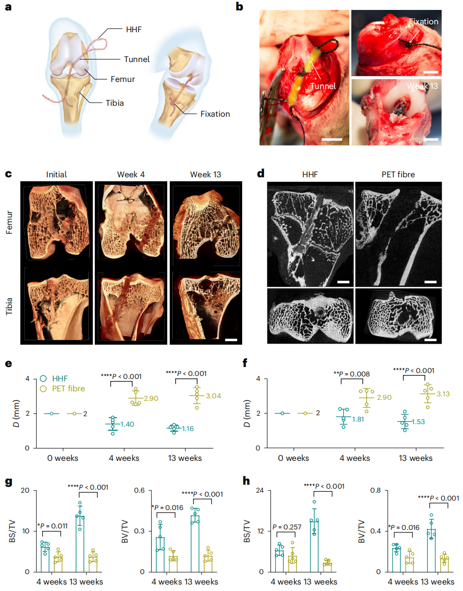 彭慧胜教授，最新Nature Nanotechnology！