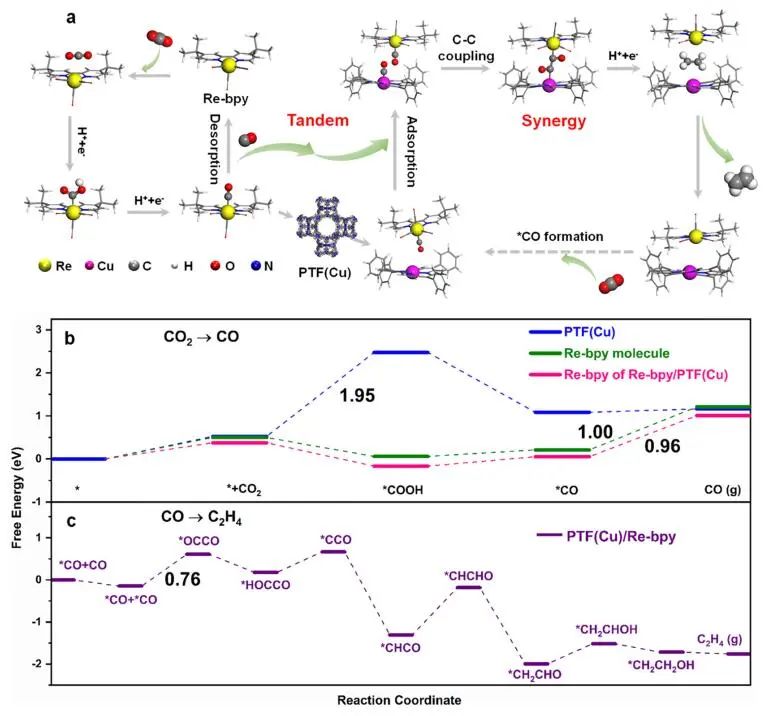 JACS：Re-bpy/PTF(Cu)协同催化CO2制备C2H4