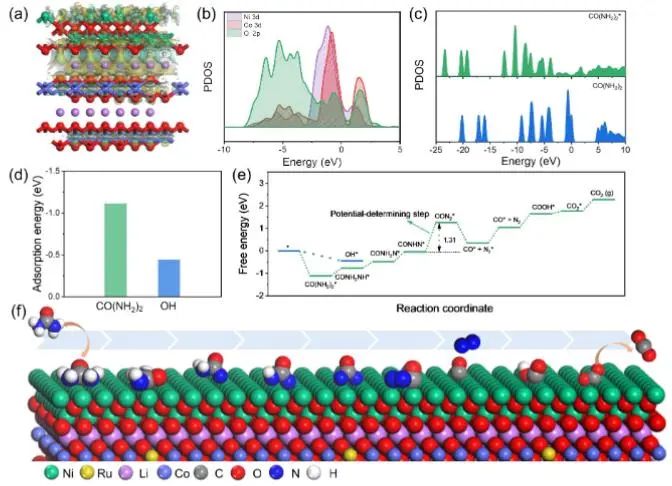 催化顶刊集锦：JACS、Angew、ACS Catal.、AFM、Adv. Sci.、Nano Lett.、Small等