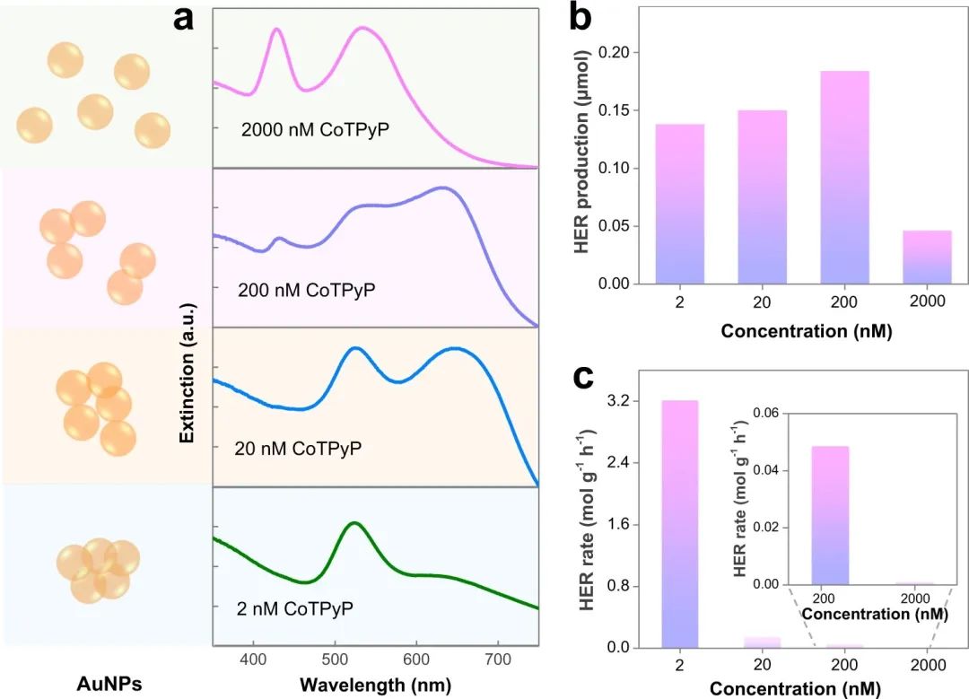 催化顶刊合集：Nature子刊、JMCA、Small、Carbon Energy、AFM、CEJ等成果！