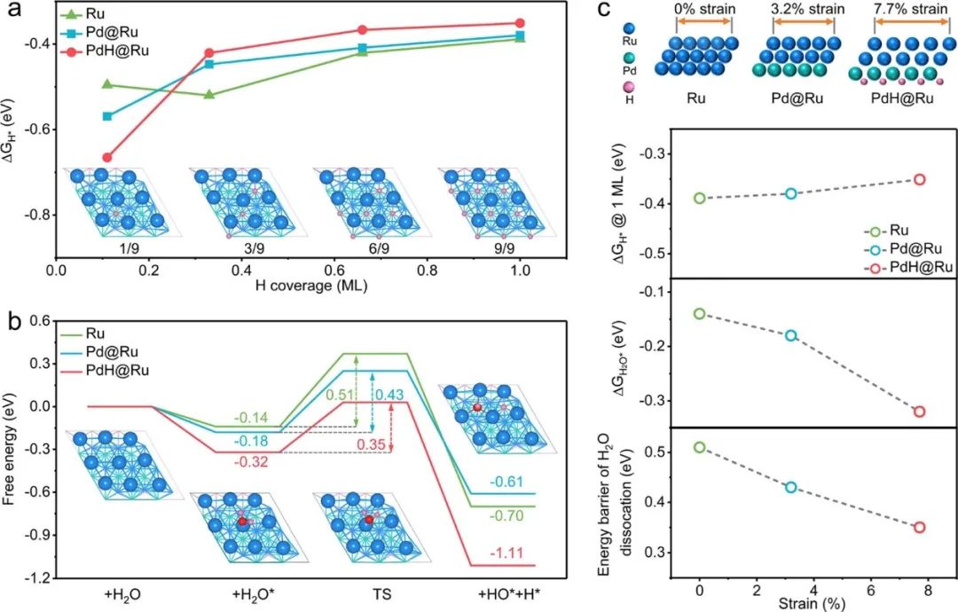 催化顶刊速递：JACS、AFM、AM、Appl. Catal. B.、CEJ等成果集锦！