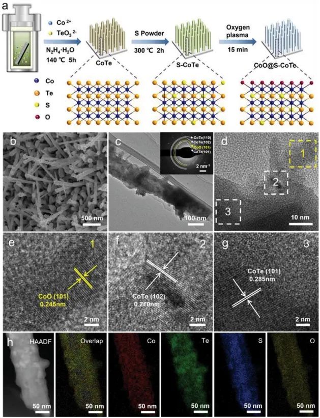 ​浙工大Adv. Sci.：CoO@S-CoTe助力OER