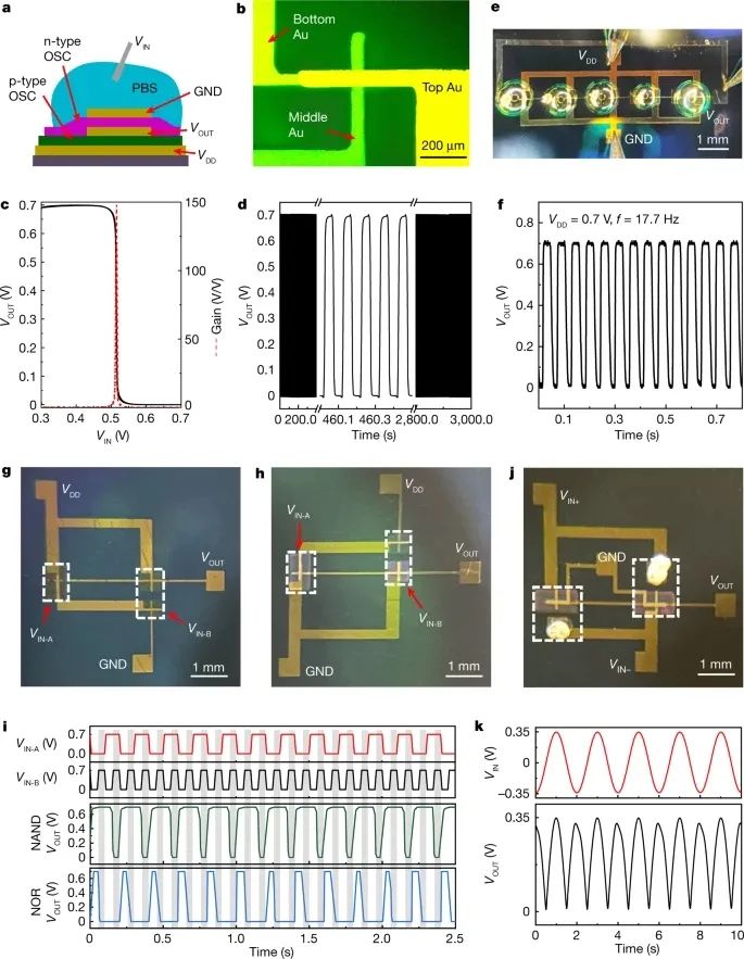 电子科技大学，2023年首篇Nature！