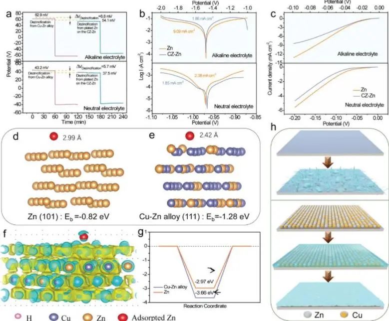 催化日报顶刊集锦：Angew./AFM/Small Methods/NML/ACS Catal./ACB等成果