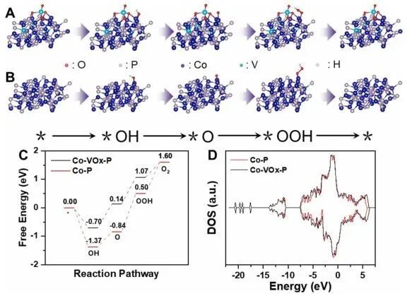 8篇催化顶刊：Angew.、AFM、Small、Chem. Eng. J.、ACS Catal.等最新成果