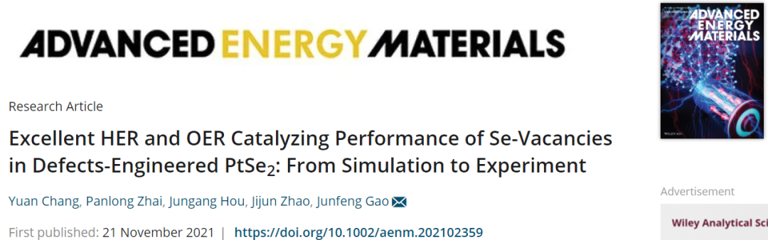 大工高峻峰AEM：缺陷工程PtSe2中Se空位的优异HER和OER催化性能：从模拟到实验