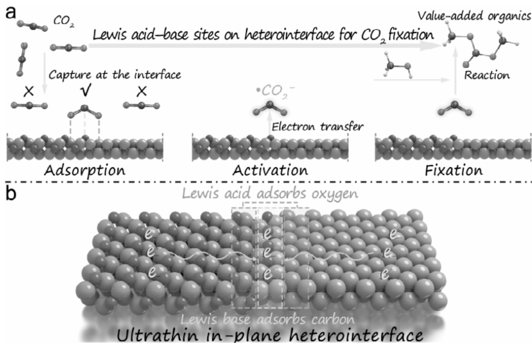 谢毅院士/张晓东教授Angew：面内异质结催化CO2生成DMC