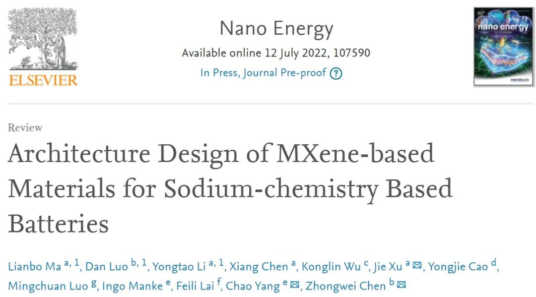 陈忠伟院士/徐杰：最新Nano Energy！