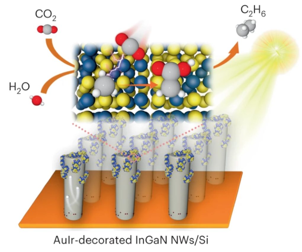 米泽田/宋俊/周宝文，最新Nature Catalysis！