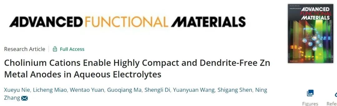 张宁AFM：在水系电解液中引入阳离子实现高致密且无枝晶的锌金属负极！