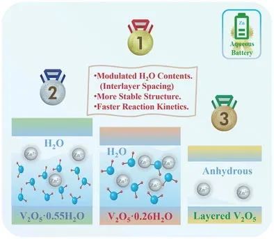 ​陆俊/鲁雄刚/程红伟AEM：揭示层间水在V2O5•nH2O正极电荷存储中的作用