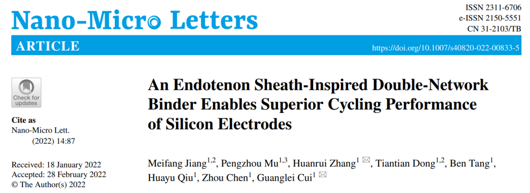 崔光磊/张焕瑞NML: 受内膜鞘启发的仿生粘结剂实现硅负极的出色循环