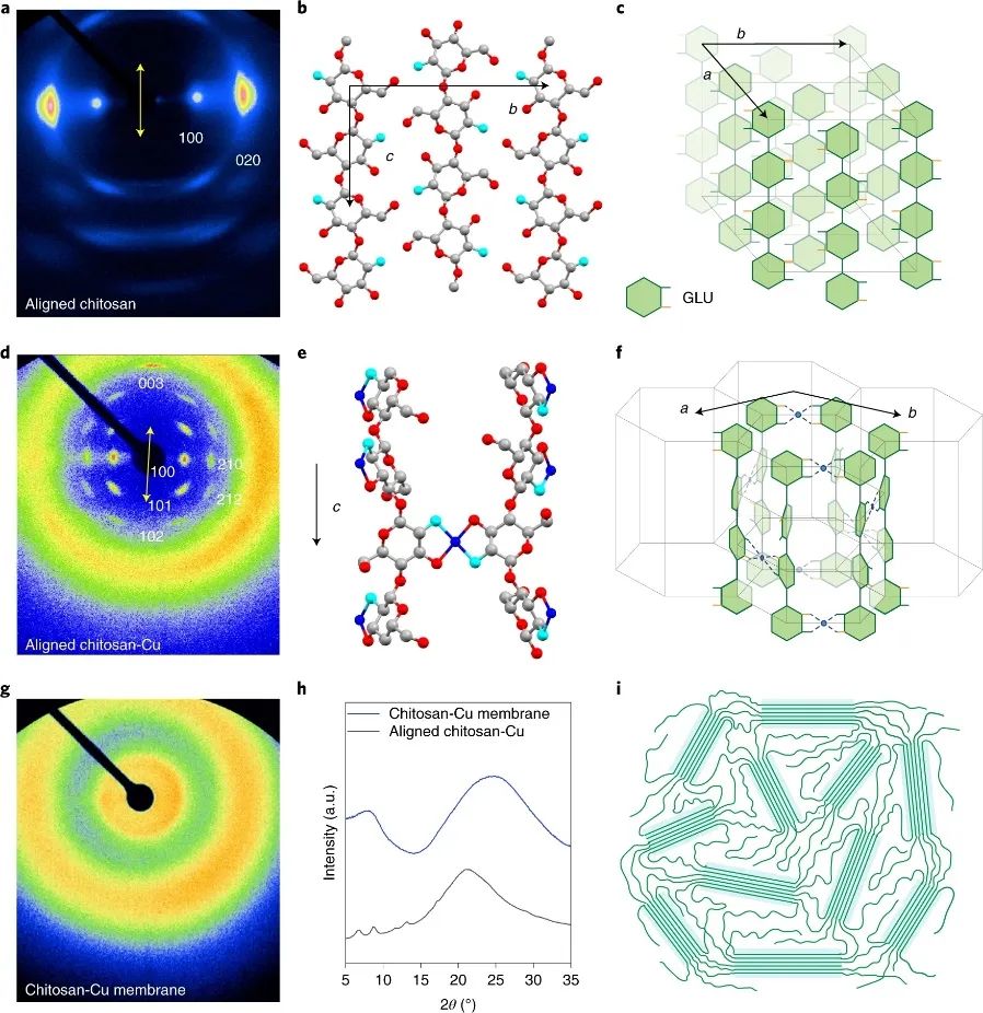 继Science之后，胡良兵团队再发Nature Nanotechnology！