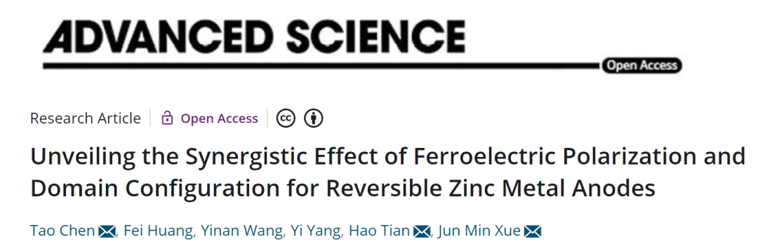 薛军民/田浩/陈涛Adv. Sci.：铁电极化+畴结构协同效应实现稳定可逆锌负极！
