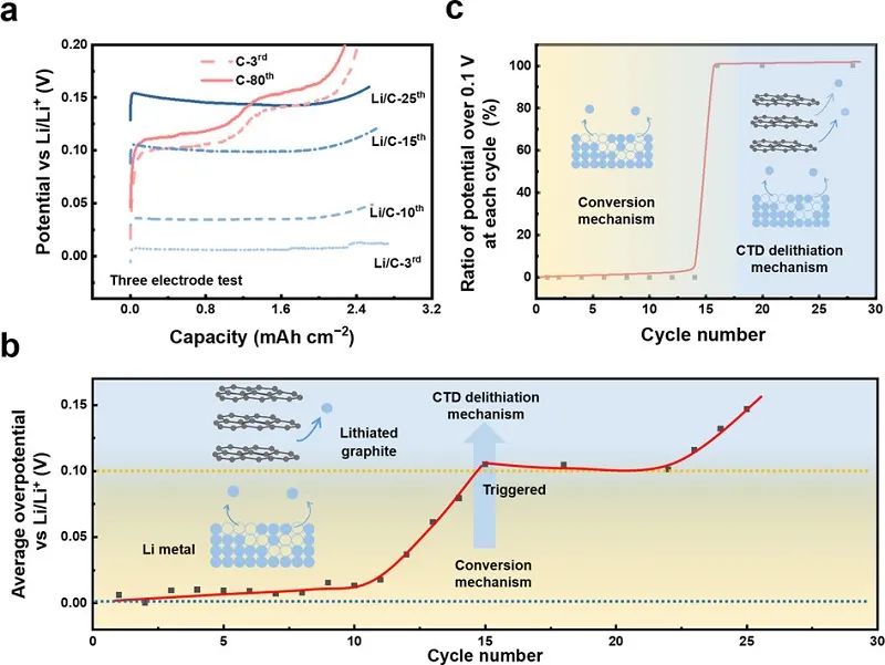 张强团队一天两篇顶刊，连发JACS、Angew.！