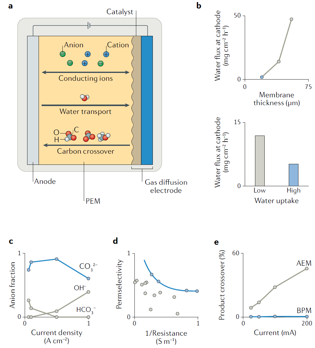 IF超过66，Nature Reviews Materials最新综述：高效CO2RR电解槽该如何设计？