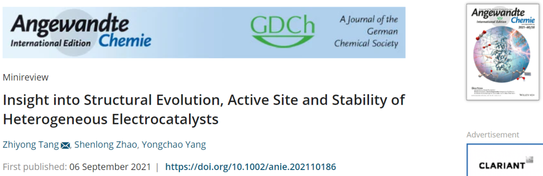 唐智勇Angew.综述：非均相电催化剂的结构演变、活性位点和稳定性研究